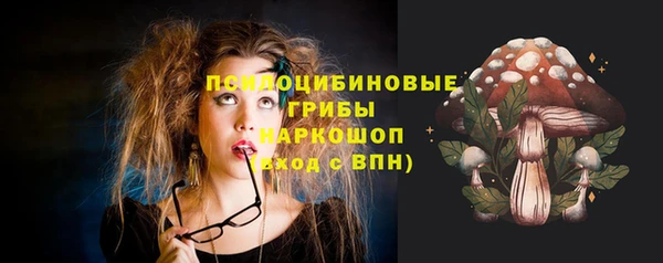 PSILOCYBIN Куйбышев