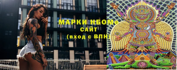 кокс Аша