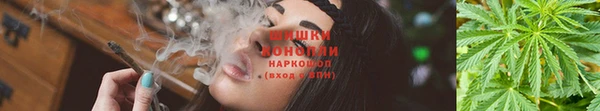 хмурый Ладушкин