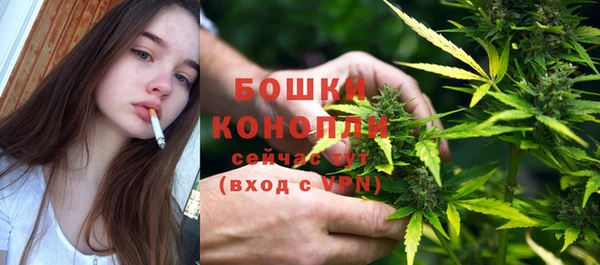 хмурый Ладушкин