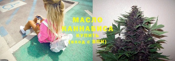 соль ск Кукмор