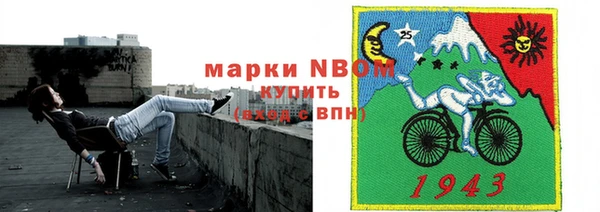 соль ск Кукмор