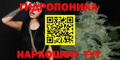 spice Балашиха