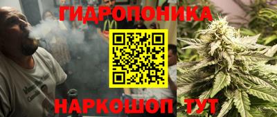 дмт Гусев