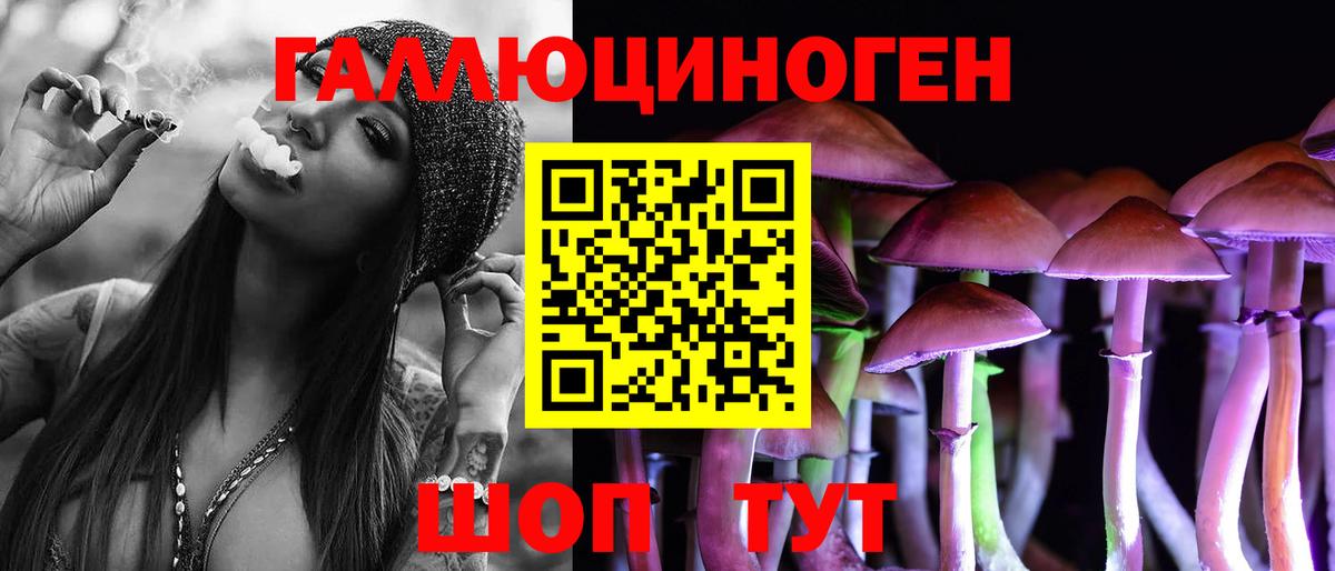 Галлюциногенные грибы Psilocybine cubensis Вольск