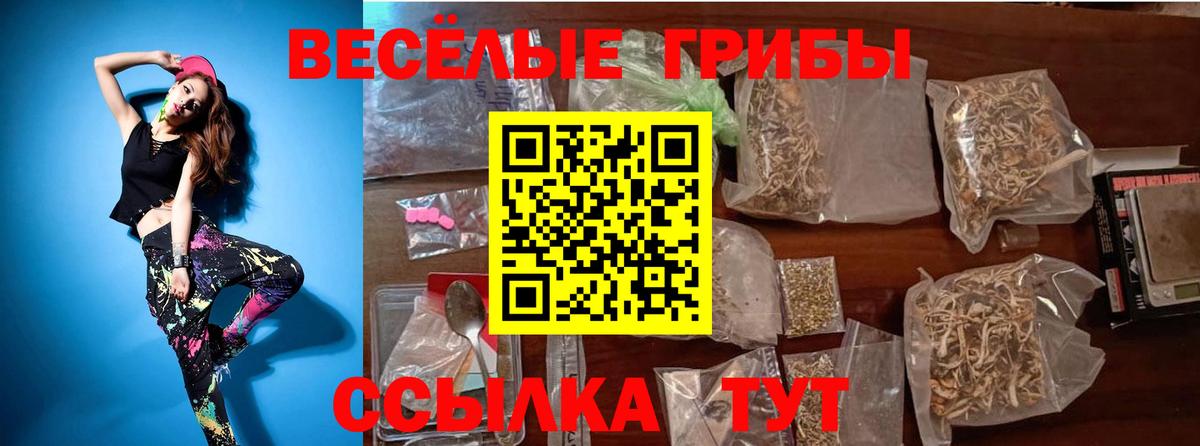 Галлюциногенные грибы ЛСД  Псилоцибиновые грибы Psilocybine cubensis  Вольск  закладки  Вход с VPN 
